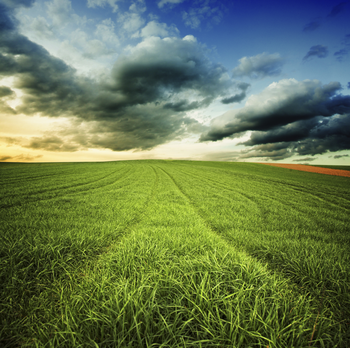 陳巴爾虎旗服裝有限責任公司