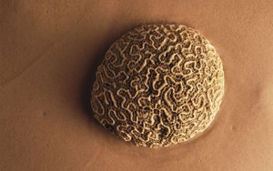 和林格爾縣土壤耕整有限責任公司