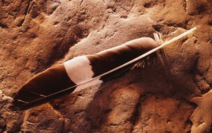 額爾古納市衛(wèi)浴有限責任公司