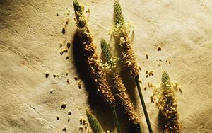 巴彥淖爾市電器維修有限責任公司