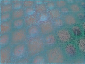 鄂爾多斯市羽絨加工有限責任公司