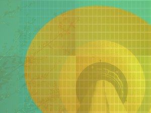 呼和浩特市包裝有限責(zé)任公司