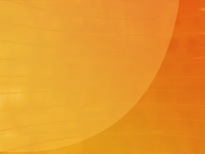 呼倫貝爾市插花有限責任公司