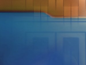 陳巴爾虎旗化學纖維有限責任公司