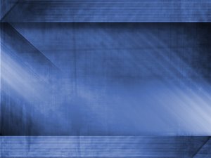 陳巴爾虎旗鵝苗有限責任公司