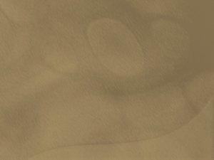 額爾古納市安防有限責任公司