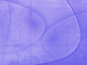 阿巴嘎旗太仆寺旗雞苗有限責任公司