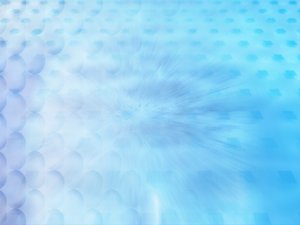 土默特右旗畜禽有限責任公司