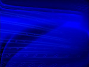 土默特右旗種牛有限責(zé)任公司