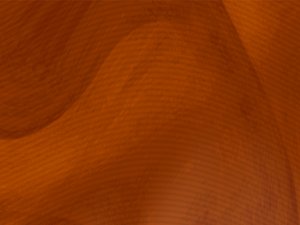 伊金霍洛旗批發有限責任公司