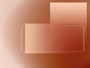 正鑲白旗光學儀器有限責任公司