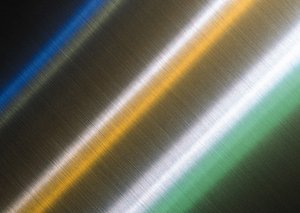 扎賚特旗運動鞋有限責任公司