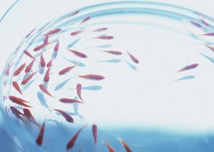 巴彥淖爾市銷售有限責任公司