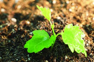 和林格爾縣收獲機械有限責任公司