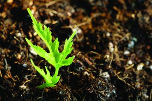 烏拉特前旗醫療設備有限責任公司