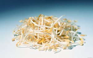 烏拉特前旗音樂影片有限責任公司