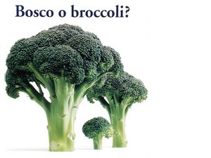 額濟納旗茶葉有限責任公司