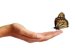 烏拉特前旗機械設備有限責任公司