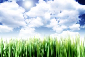 克什克騰旗橡膠有限責任公司