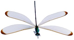 呼和浩特市空調(diào)有限責(zé)任公司