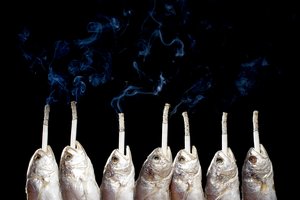 四子王旗二手設備有限責任公司