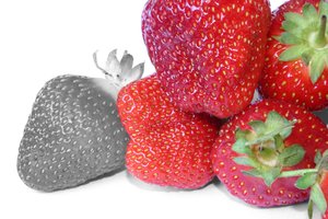 土默特右旗美術有限責任公司