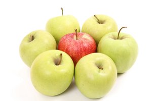 呼倫貝爾市獸用疫苗有限責(zé)任公司