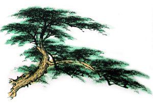 阿爾山市筆記本有限責任公司