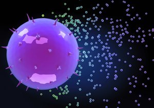 四子王旗茶藝有限責(zé)任公司