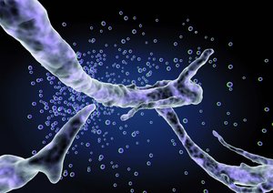 鄂爾多斯市汽車禮品有限責任公司