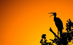 四子王旗古董有限責任公司