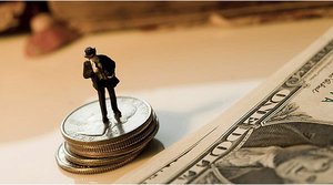 正鑲白旗花卉有限責任公司