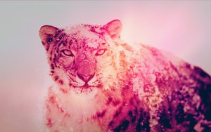 巴彥淖爾市電腦硬件有限責任公司