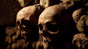 克什克騰旗換胎補胎有限責(zé)任公司