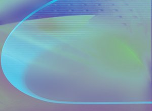 阿拉善盟加盟有限責任公司