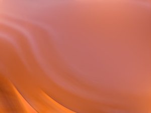 鄂爾多斯市蛇苗有限責(zé)任公司