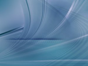 額濟納旗加盟有限責任公司