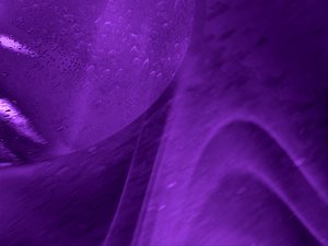 呼倫貝爾市羽絨加工有限責任公司