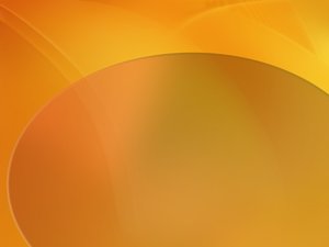 正鑲白旗安防設備有限責任公司