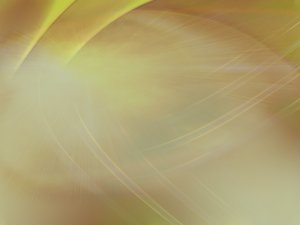 四子王旗杯子茶具有限責任公司