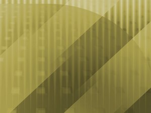 土默特右旗藝考有限責任公司