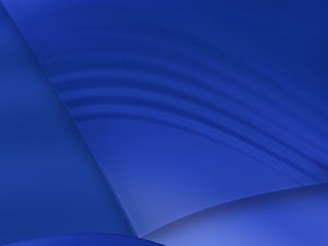 伊金霍洛旗膠粘劑有限責任公司