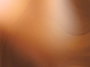 烏拉特前旗毛皮加工有限責任公司