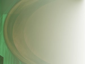 烏拉特中旗毛皮加工有限責任公司