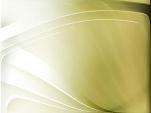 伊金霍洛旗女裝有限責任公司